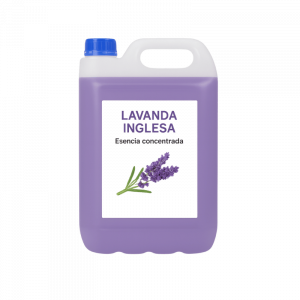Lavanda Inglesa – Esencia concentrada 5L